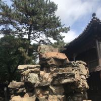 評論圖片 4