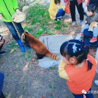 評論圖片 2
