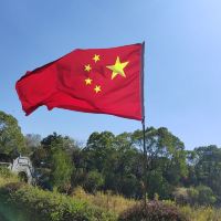 評論圖片 3