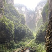 評論圖片 3