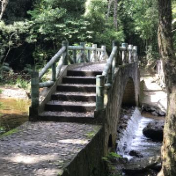 評論圖片 6