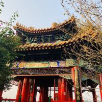 評論圖片 8