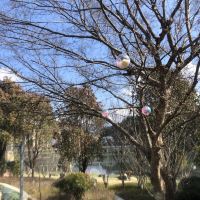 評論圖片 4