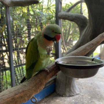 評論圖片 5