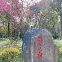 評論圖片 7