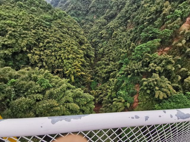 Bamboo Canyon Scenic Area (Jinji Valley)