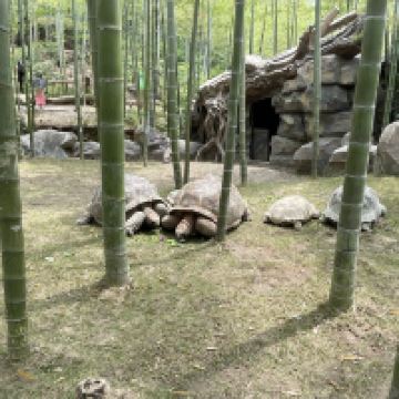 評論圖片 5