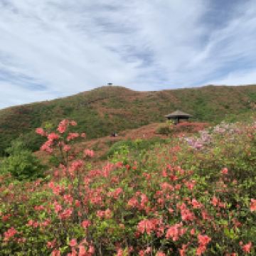 評論圖片 6