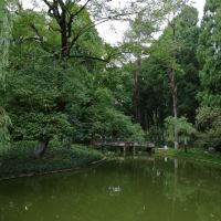 評論圖片 2