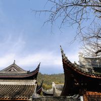 評論圖片 6