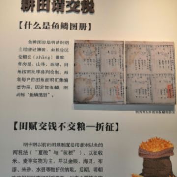 評論圖片 7