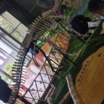 評論圖片 3