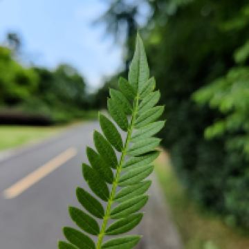 評論圖片 8