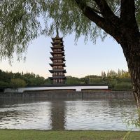 評論圖片 7
