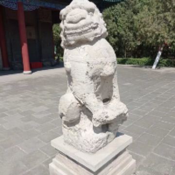 評論圖片 4