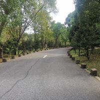 評論圖片 9