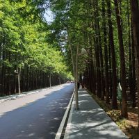 評論圖片 3