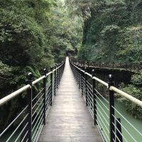 評論圖片 2