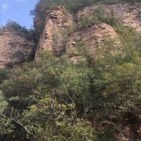 評論圖片 4