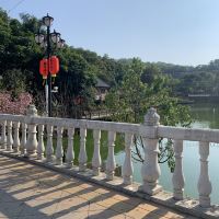 評論圖片 5