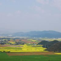 評論圖片 6