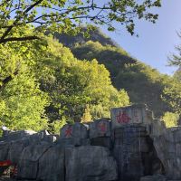 評論圖片 1