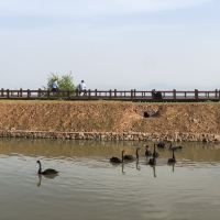 評論圖片 7