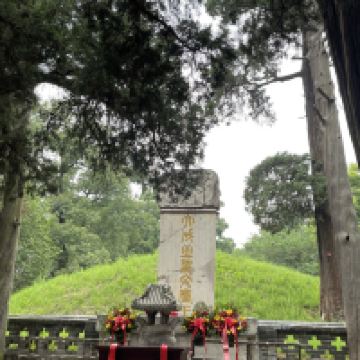 評論圖片 8