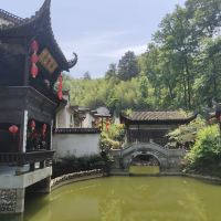 評論圖片 2