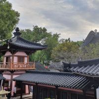 評論圖片 1