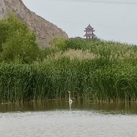 評論圖片 6