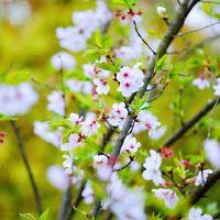 評論圖片 6