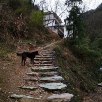 評論圖片 8