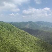 評論圖片 4