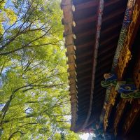 評論圖片 7