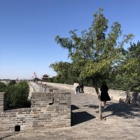 評論圖片 7