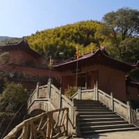 評論圖片 4