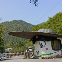 評論圖片 6