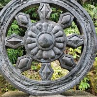 評論圖片 1
