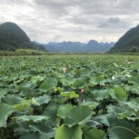 評論圖片 5