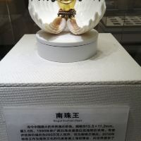 評論圖片 5