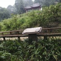評論圖片 5