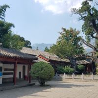 評論圖片 4