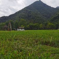 評論圖片 9