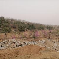 評論圖片 6