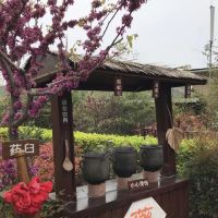 評論圖片 8