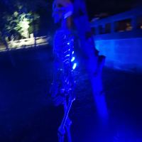 評論圖片 1