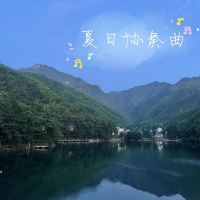 評論圖片 4
