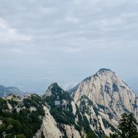 評論圖片 8