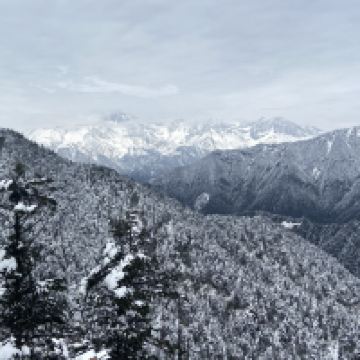 評論圖片 4